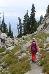 Hong on the way down [sat aug 23 13:15:05 mdt 2025]